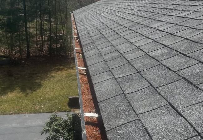gutter-cleaning-services