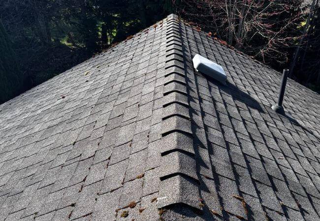 roof-cleaning-services
